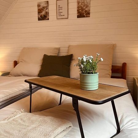Frieda - Ferienwohnung Mit Deichblick Friedrichskoog Εξωτερικό φωτογραφία